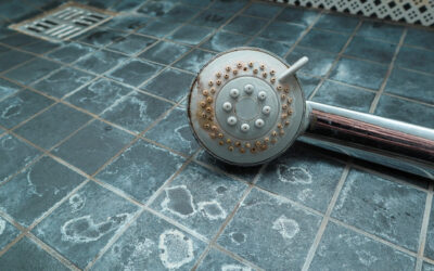 How to Clean a Shower Head Properly: A Step-by-Step Guide